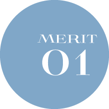 MERIT01