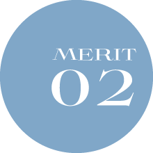 MERIT01
