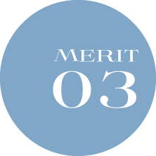 MERIT01