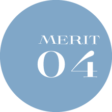 MERIT01