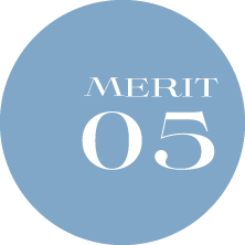 MERIT01