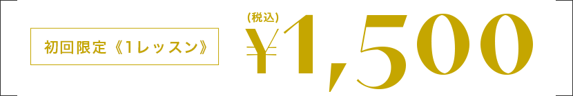 初回限定《1レッスン》 ¥1,500