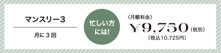 忙しい方には!マンスリー3。月に3回9,750円(税別)