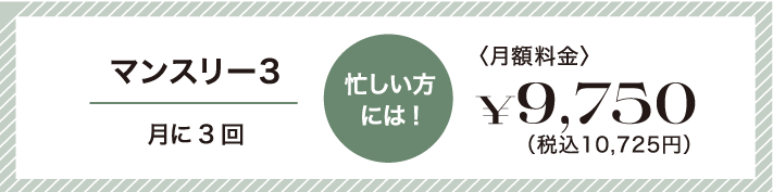 忙しい方には!マンスリー3。月に3回9,750円(税別)
