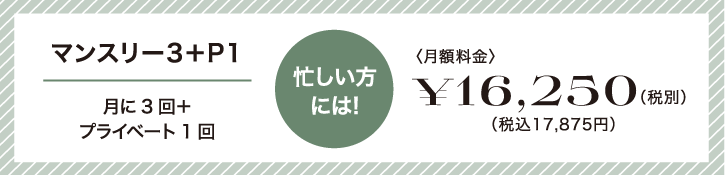 忙しい方には!マンスリー3。月に3回+プライベート1回16,250円(税別)