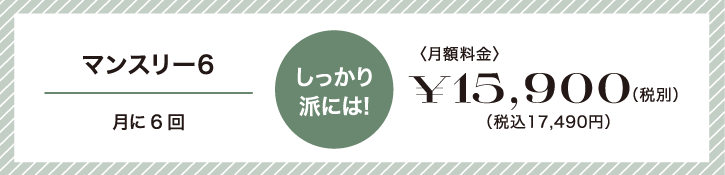 しっかり派には!マンスリー6。月に6回15,900円(税別)