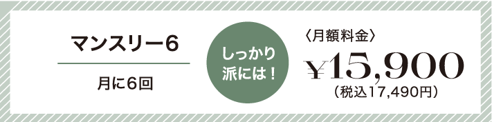 しっかり派には!マンスリー6。月に6回15,900円(税別)