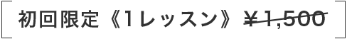 初回限定《1レッスン》 ¥1,500