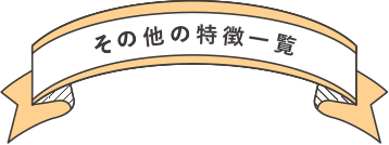 その他の特徴一覧